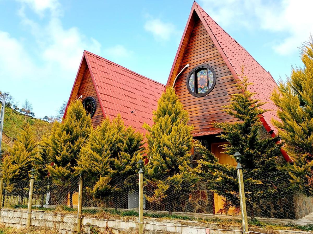 Mcora Tatil Koeyue Apartment Rize Exterior foto